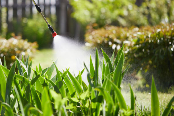 24/7 Emergency Mosquito Control experts in Lindsborg, KS